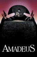 Cover: Forman: Amadeus