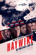 Cover: McGregor: Haywire