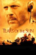 Cover: Willis: Tears of the Sun