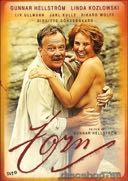 Cover: Zorn