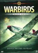 Cover: Warbirds of WWII