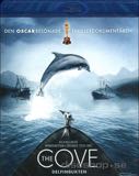 Cover: The Cove