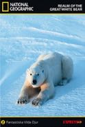 Cover: National Geographics Realm Of The Great White Bear