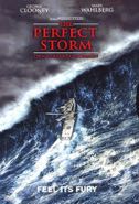 Cover: Perfect Storm (Den perfekta stormen)