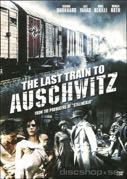Cover: The Last Train to Auschwitz