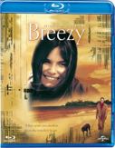Cover: Eastwood: Breezy