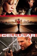 Cover: Statham: Final Call
