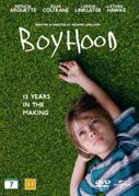Cover: Boyhood