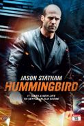 Cover: Statham: Hummingbird