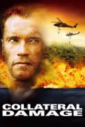Cover: Schwarzenegger: Collateral Damage