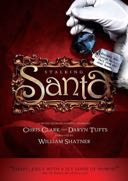 Cover: Stalking Santa