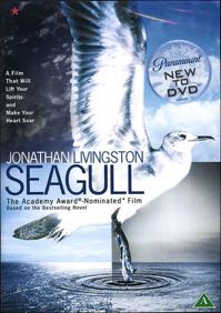 Cover: Seagull