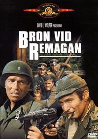Cover: Bron vid Remagen